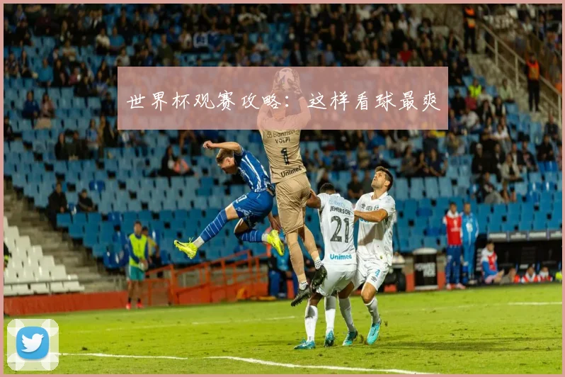 世界杯观赛攻略:这样看球最爽