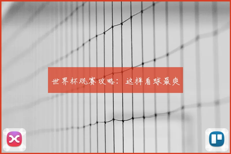 世界杯观赛攻略：这样看球最爽