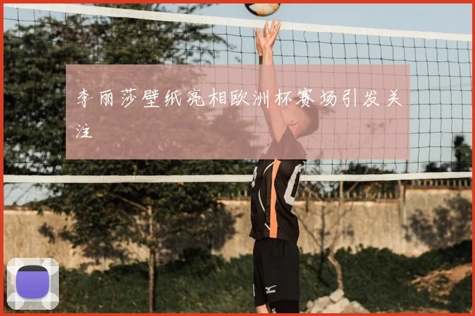 李丽莎壁纸亮相欧洲杯赛场引发关注
