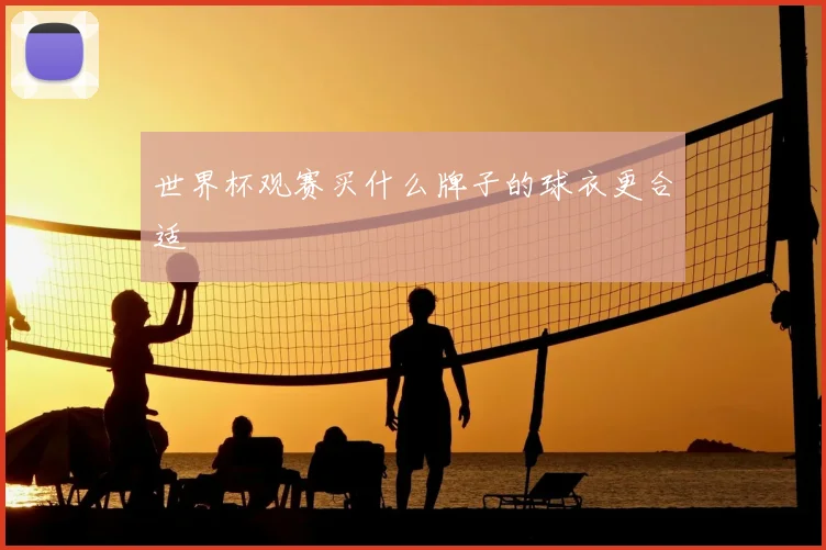 世界杯观赛买什么牌子的球衣更合适