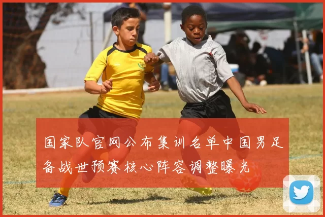国家队官网公布集训名单中国男足备战世预赛核心阵容调整曝光
