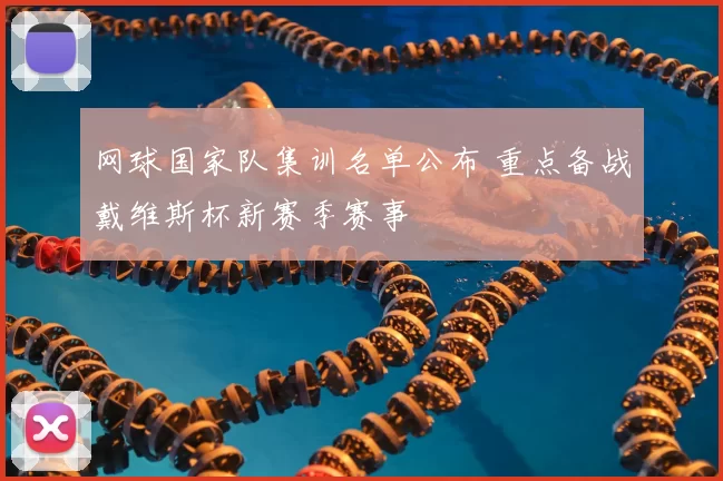 网球国家队集训名单公布 重点备战戴维斯杯新赛季赛事